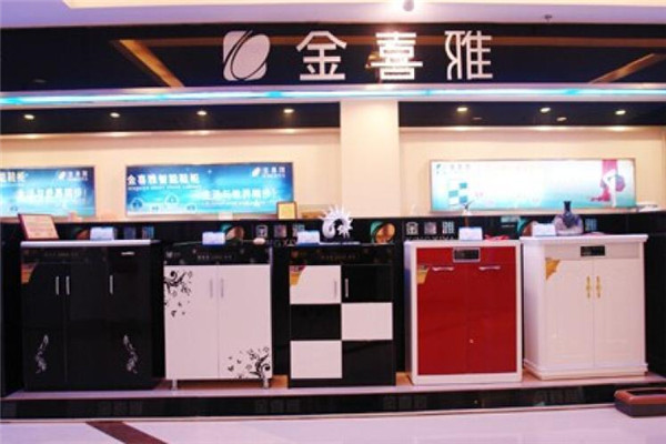 金喜雅智能电子鞋柜